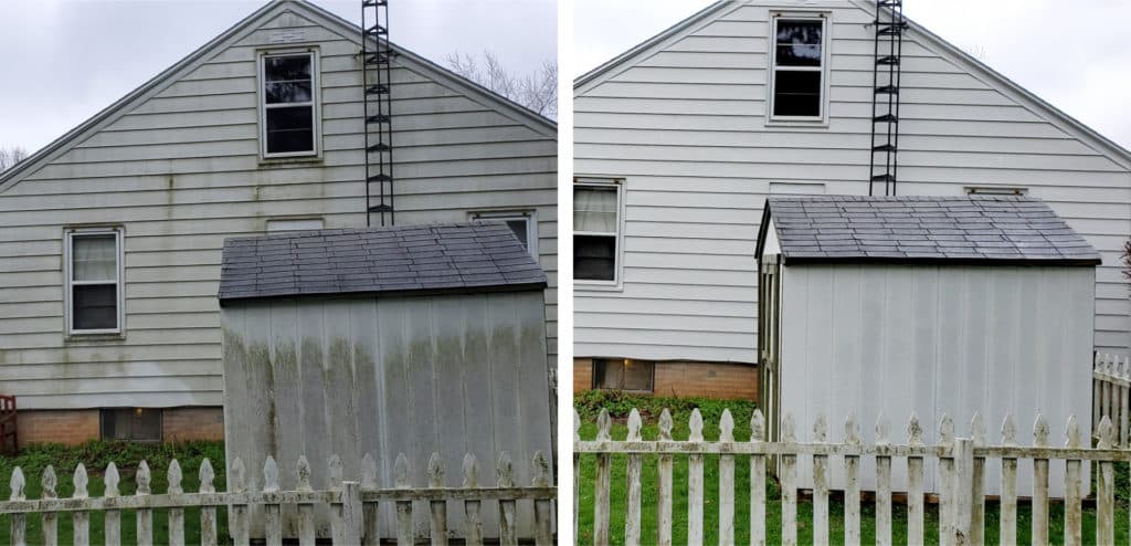 What Causes Green Algae to Grow on House Siding?