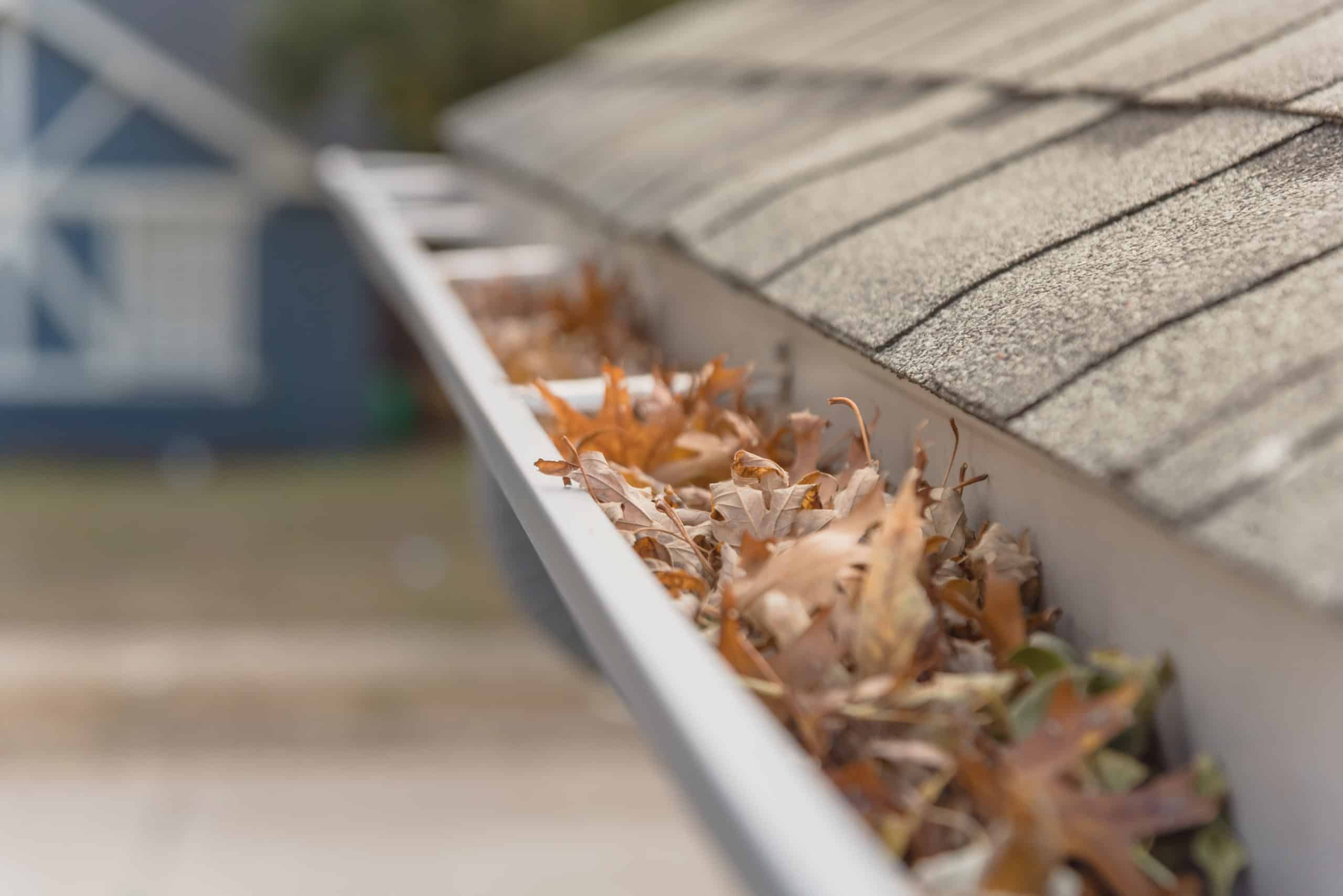 Why you Need Regular Gutter Cleaning House Washing WI MultiMan Services