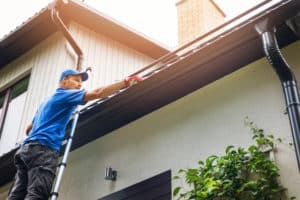 DIY vs. Professional Roof Washing: Which is Right for You?