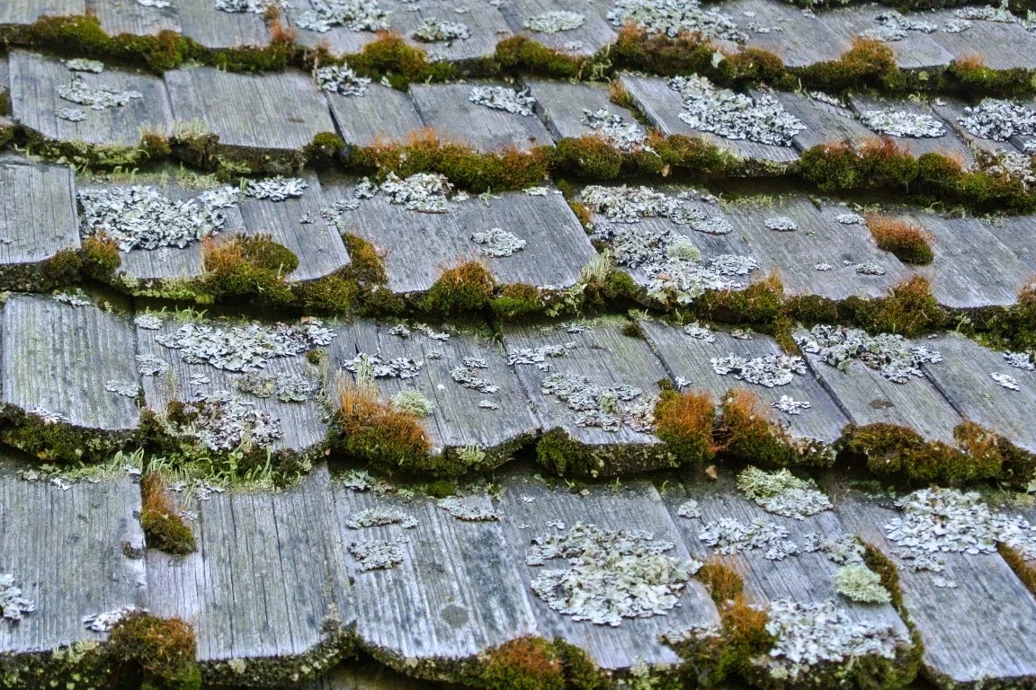 Roof Rejuvenations - Beloit, WI