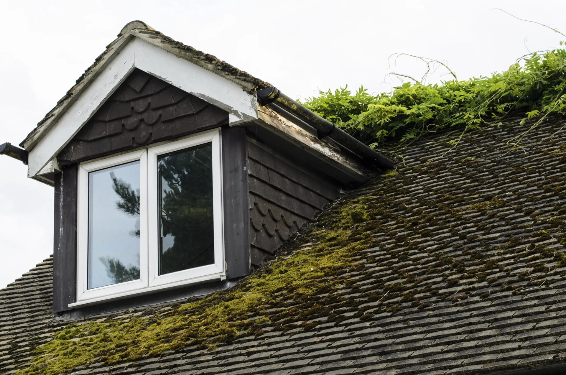 Roof Rejuvenations - Beloit, WI