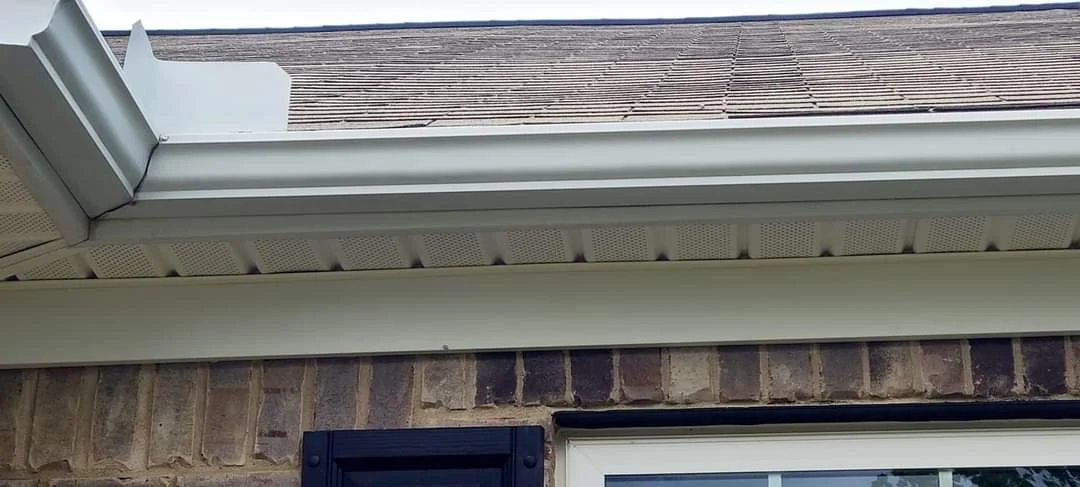 Gutter Cleaning
