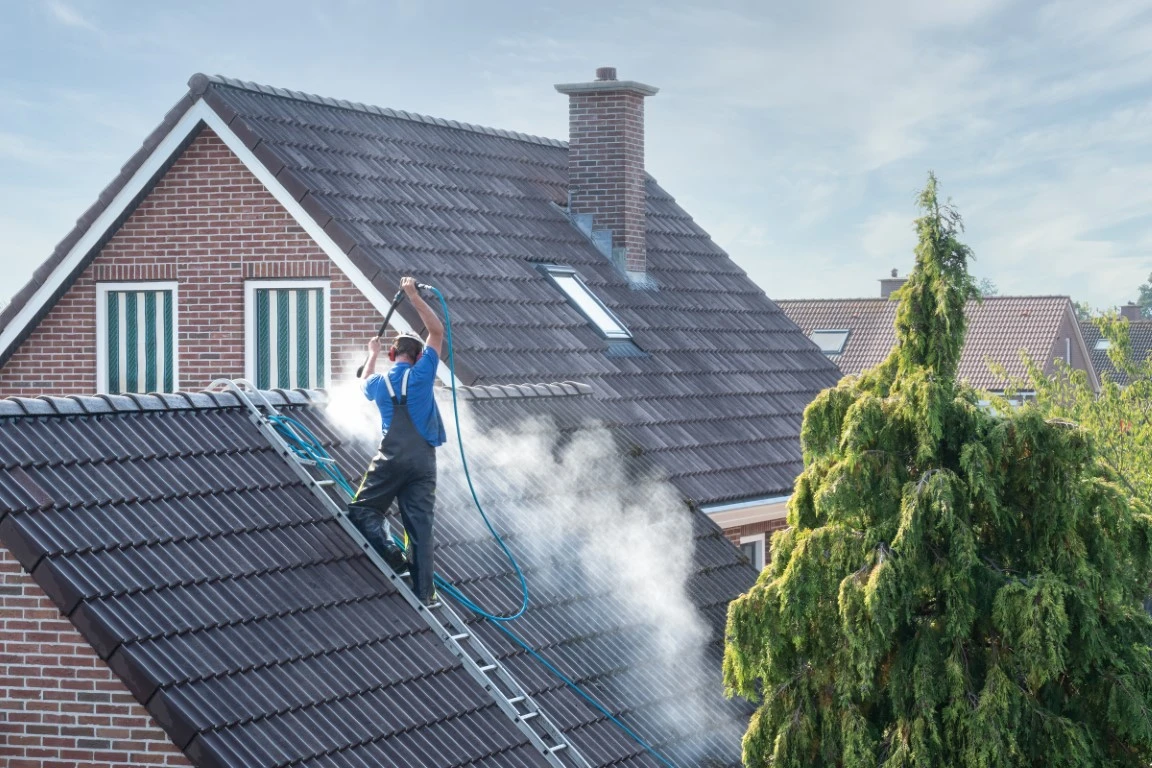 Professional Roof Cleaning - Beloit, WI