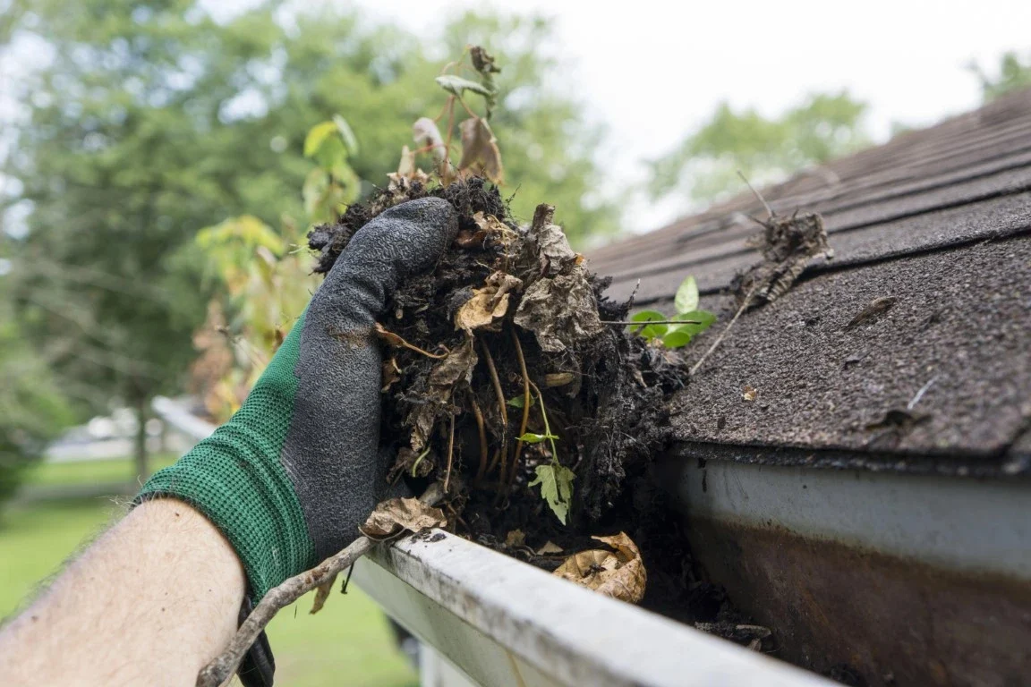 Extend the Life of Your Roof