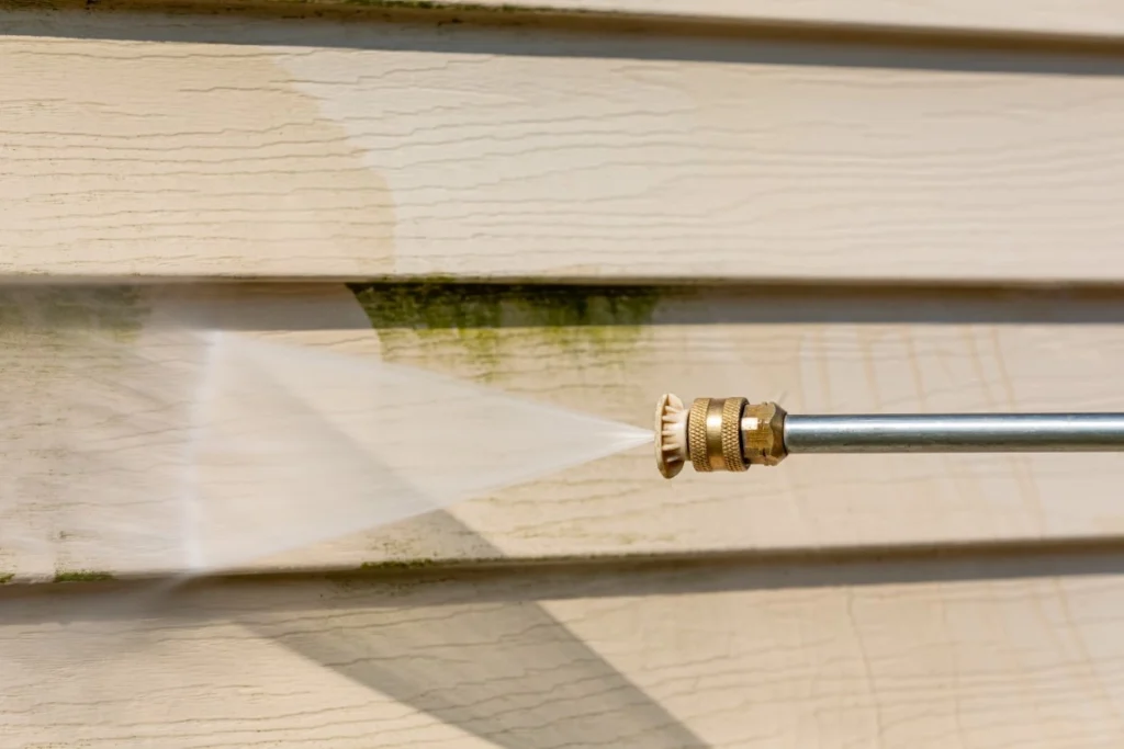 What Causes Green Algae to Grow on House Siding?